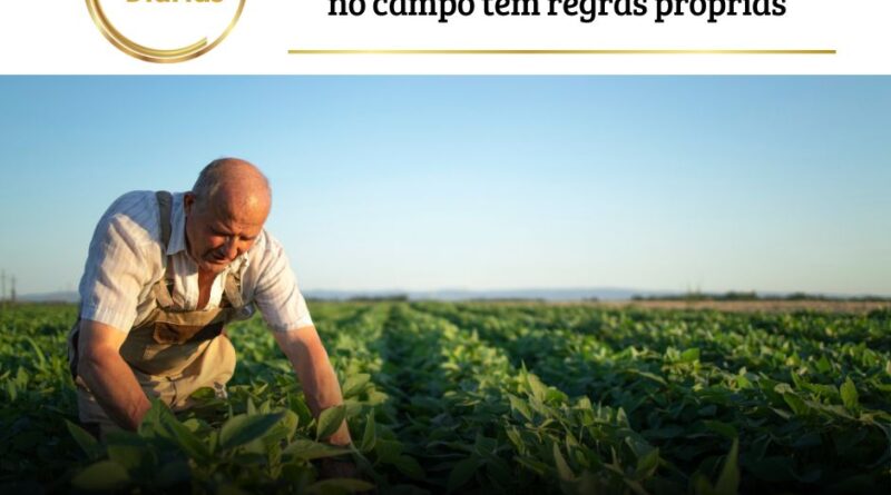 O número de pessoas trabalhando no agronegócio brasileiro somou 28,34 milhões em 2023, de acordo com o Centro de Estudos Avançados em Economia Aplicada (Cepea), em parceria com a Confederação da Agricultura e Pecuária do Brasil (CNA).