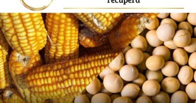 Na semana passada, os investidores no mercado de commodities agrícolas testemunharam uma série de movimentos notáveis, com foco especial nos contratos futuros de soja e milho na Bolsa de Chicago.