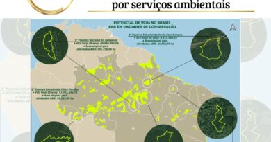 Estudo avalia o potencial de receita em pagamento por serviços ambientais (PSA) em florestas públicas e unidades de conversação no Brasil.