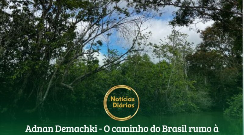 A um ano e meio de sediar a principal Conferência do Clima das Nações Unidas dos últimos anos, o Brasil ainda não implementou a sua principal lei ambiental, considerada uma das mais avançadas do mundo.