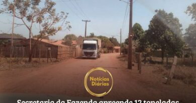 Fiscalização da Secretaria de Estado da Fazenda (Sefa), realizada por servidores lotados na unidade de controle de mercadorias em trânsito do Itinga, no município de Dom Eliseu, sudeste paraense, na quinta-feira (25), apreendeu 12 toneladas de madeira serrada.