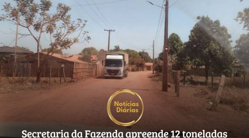 Fiscalização da Secretaria de Estado da Fazenda (Sefa), realizada por servidores lotados na unidade de controle de mercadorias em trânsito do Itinga, no município de Dom Eliseu, sudeste paraense, na quinta-feira (25), apreendeu 12 toneladas de madeira serrada.