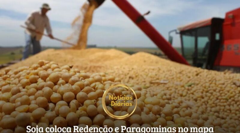 O mundo encantado da soja para seus orgulhosos produtores chegou, enfim, à Amazônia paraense e, ao que parece, para ficar. O Pará é a nova fronteira da commodity mais valiosa do Brasil e seus municípios produtores nunca estiveram tão bem na foto quanto em 2024, quando Redenção e Paragominas, os dois mais importantes, passaram a figurar nas estatísticas da balança comercial do país.