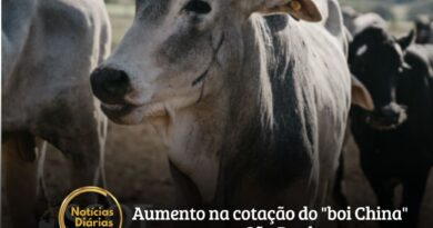 O viés de alta que rondava o mercado desde o começo de agosto se concretizou essa semana. Após a alta registrada na última terça-feira para a novilha, hoje, a cotação do "boi China" subiu R$2,00/@.