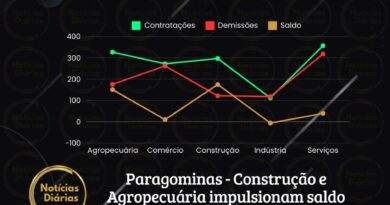 Em Paragominas, conforme os últimos dados divulgados pelo CAGED (Cadastro Geral de Empregados e Desempregados), os setores da Agropecuária e da Construção foram os grandes responsáveis pelo número positivo das contratações no mês de junho.