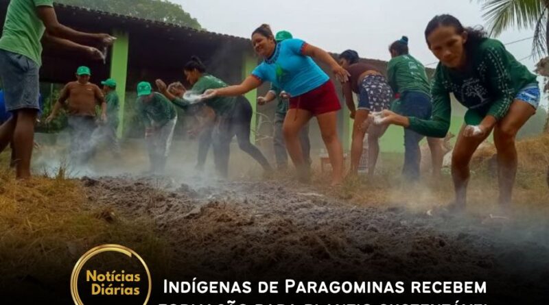 Em Paragominas, indígenas da Terra Indígena Alto Rio Guamá está recebendo capacitação visando a restauração ecológica por meio do plantio sem queima.