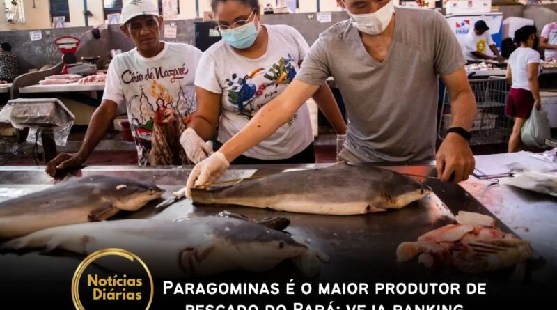 No ano passado, Paragominas movimentou cerca de R$ 42,82 milhões no ramo de aquicultura, sagrando-se o número 1 do Pará nesse nicho comercial