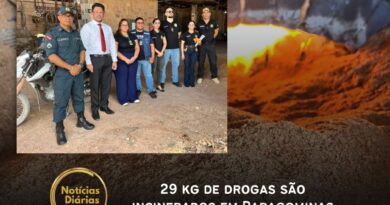 A ação de incineração das drogas foi conduzida pela equipe plantonista da 13ª Seccional Urbana de Polícia Civil de Paragominas, com o apoio da Superintendência Regional da 7ª RISP (Região Integrada de Segurança Pública).