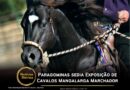 Paragominas está sediando, até o próximo sábado (26), a VIII Exposição Especializada de Belém e a II Etapa do Circuito Nordestino de Cavalos Mangalarga Marchador.