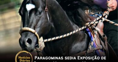 Paragominas está sediando, até o próximo sábado (26), a VIII Exposição Especializada de Belém e a II Etapa do Circuito Nordestino de Cavalos Mangalarga Marchador.