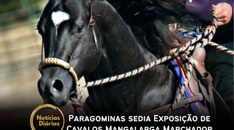 Paragominas está sediando, até o próximo sábado (26), a VIII Exposição Especializada de Belém e a II Etapa do Circuito Nordestino de Cavalos Mangalarga Marchador.