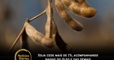 Os preços da soja operam com baixas de dois dígitos nos principais contratos na Bolsa de Chicago nesta manhã de terça-feira, 1º de outubro.