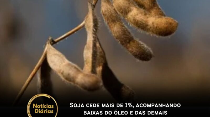 Os preços da soja operam com baixas de dois dígitos nos principais contratos na Bolsa de Chicago nesta manhã de terça-feira, 1º de outubro.