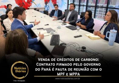 Em resposta ao Ministério Público Federal (MPF) e ao Ministério Público do Estado do Pará (MPPA), o governo do Pará informou que o estado não vendeu créditos de carbono.