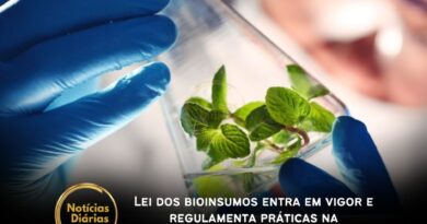 Lei dos bioinsumos entra em vigor e regulamenta práticas na agropecuária 