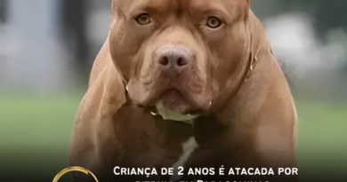 Um menino de 2 anos foi atacado por um cachorro da raça pitbull na tarde de quarta-feira (15), enquanto brincava na calçada de sua casa, no bairro Santa Rosa, em Paragominas