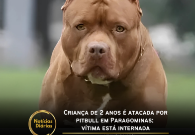 Um menino de 2 anos foi atacado por um cachorro da raça pitbull na tarde de quarta-feira (15), enquanto brincava na calçada de sua casa, no bairro Santa Rosa, em Paragominas