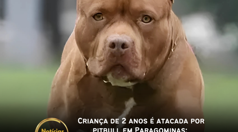 Um menino de 2 anos foi atacado por um cachorro da raça pitbull na tarde de quarta-feira (15), enquanto brincava na calçada de sua casa, no bairro Santa Rosa, em Paragominas