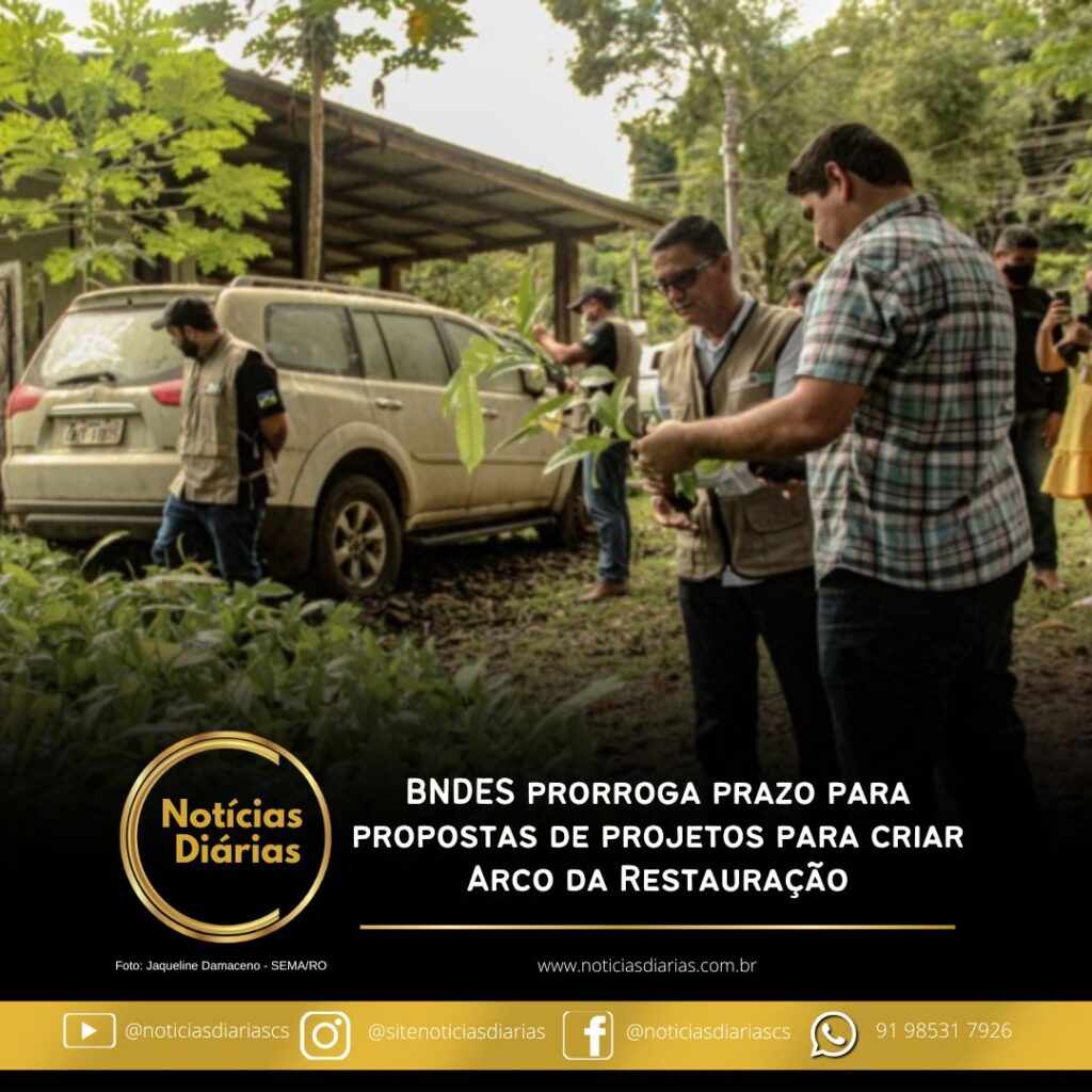 28 de fevereiro é o novo prazo para envio de propostas. Iniciativa Restaura Amazônia visa recuperar vegetação nativa na Amazônia Legal e transformar o “Arco do Desmatamento” em “Arco da Restauração”