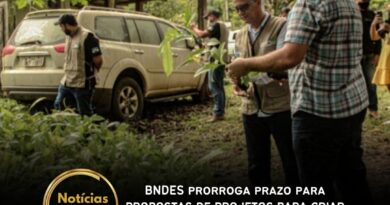 28 de fevereiro é o novo prazo para envio de propostas. Iniciativa Restaura Amazônia visa recuperar vegetação nativa na Amazônia Legal e transformar o “Arco do Desmatamento” em “Arco da Restauração”