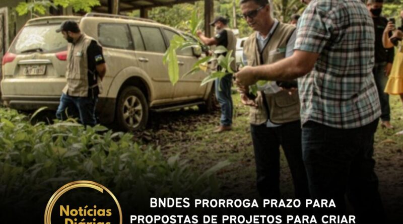 28 de fevereiro é o novo prazo para envio de propostas. Iniciativa Restaura Amazônia visa recuperar vegetação nativa na Amazônia Legal e transformar o “Arco do Desmatamento” em “Arco da Restauração”